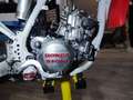 Honda CR 250 Blanc - thumbnail 4
