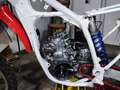 Honda CR 250 White - thumbnail 6