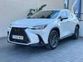 Lexus NX 350h NX 350h Business City 4WD Business City Blanco - thumbnail 1