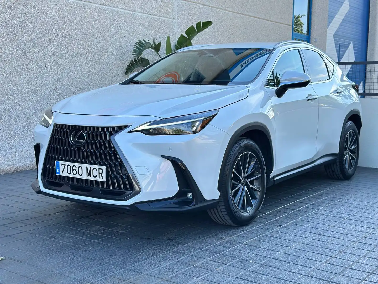 Lexus NX 350h NX 350h Business City 4WD Business City Blanco - 1