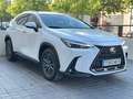 Lexus NX 350h NX 350h Business City 4WD Business City Blanco - thumbnail 2