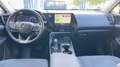 Lexus NX 350h NX 350h Business City 4WD Business City Blanco - thumbnail 7