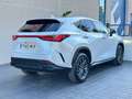 Lexus NX 350h NX 350h Business City 4WD Business City Blanco - thumbnail 4
