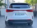 Lexus NX 350h NX 350h Business City 4WD Business City Blanco - thumbnail 5