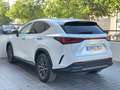 Lexus NX 350h NX 350h Business City 4WD Business City Blanco - thumbnail 6