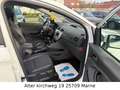 Ford Kuga Titanium KAMERA.PDC.AHK.SHZ.PANO.TÜV NEU Weiß - thumbnail 10