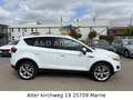 Ford Kuga Titanium KAMERA.PDC.AHK.SHZ.PANO.TÜV NEU Weiß - thumbnail 4