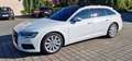Audi A6 A6 Avant 45 TDI quattro design tiptronic design Weiß - thumbnail 1