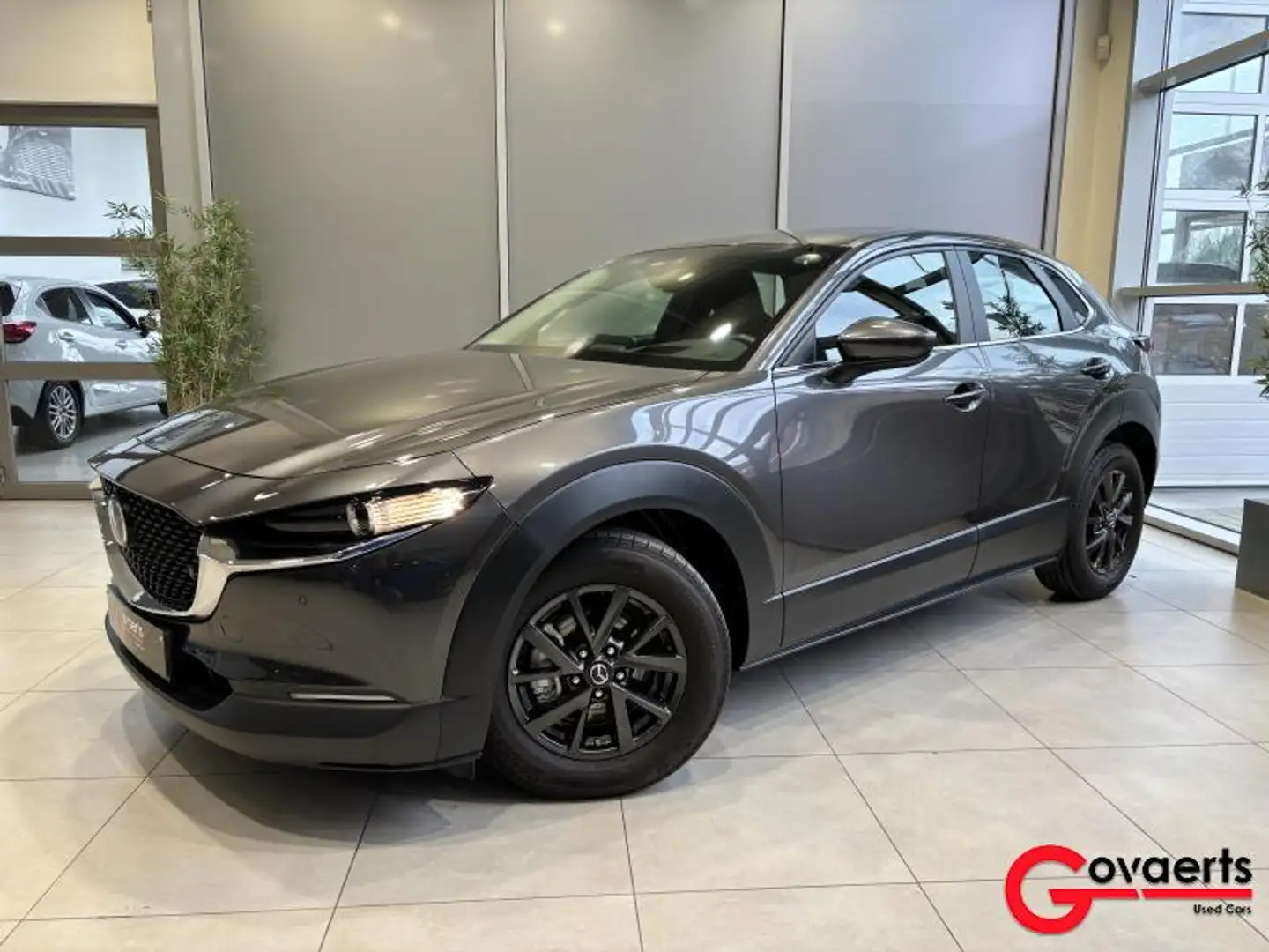 Mazda CX-30 2.0L e-Skyactiv G 122PK 6MT SKYDRIVE BUSINESS Gris - 1