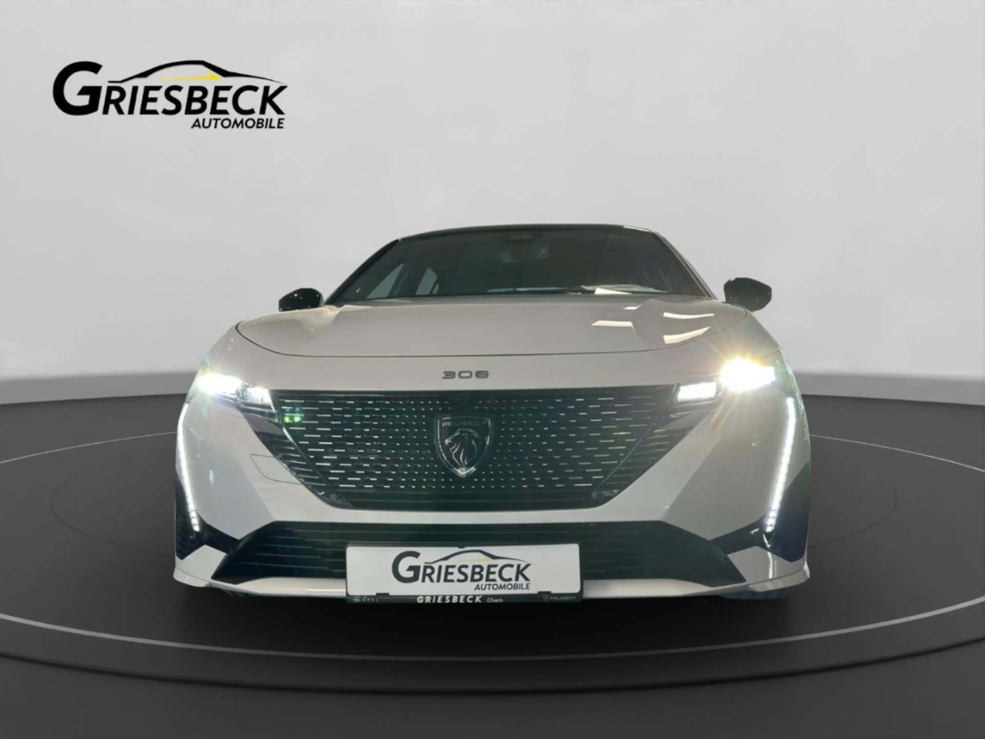 Peugeot 308 GT 1.2 PureTech 130 EU6e El. Panodach Navi Digital — photo 5