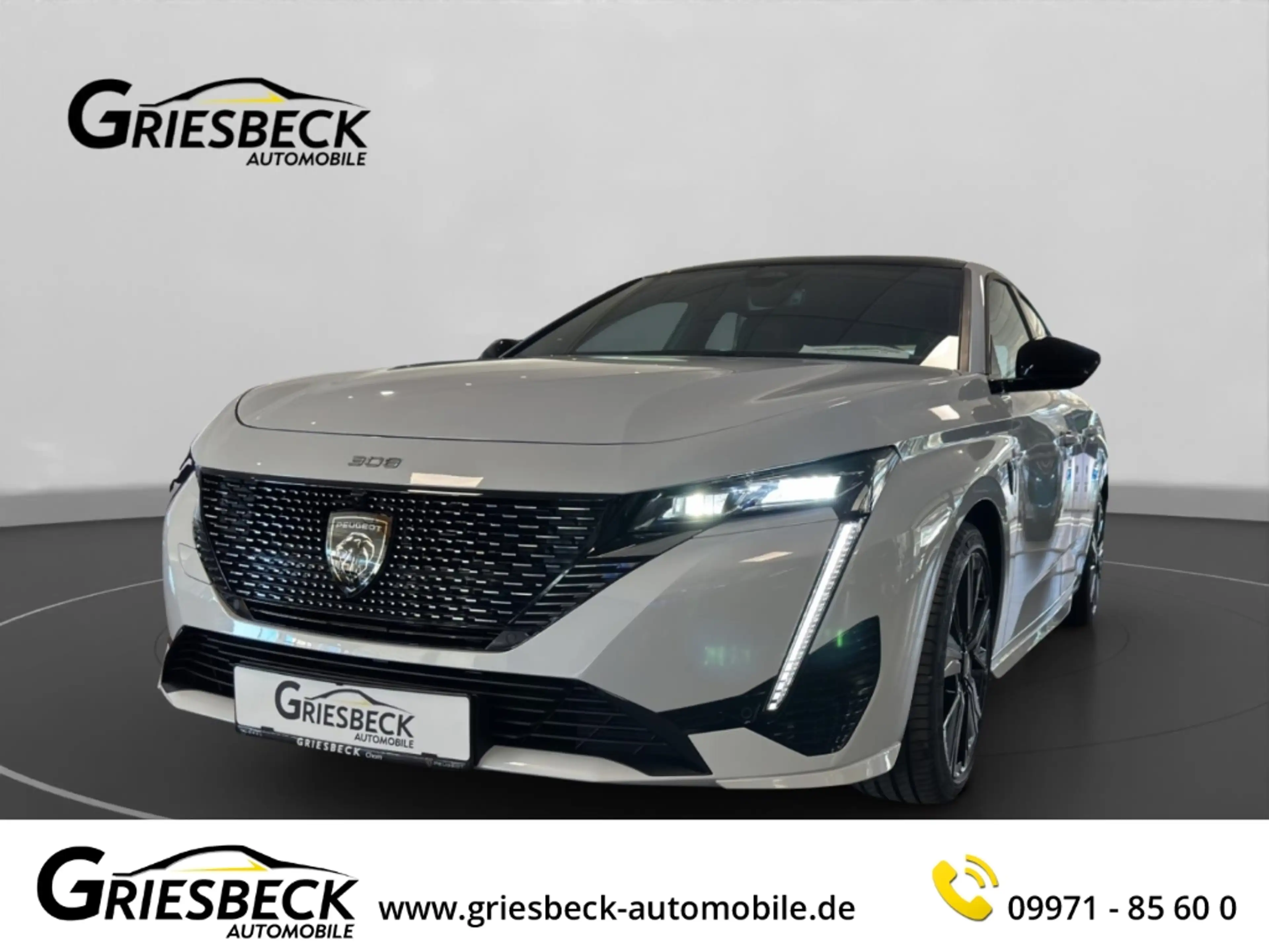 Peugeot 308 GT 1.2 PureTech 130 EU6e El. Panodach Navi Digital