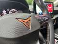 CUPRA Formentor 2.0TDI 4Drive DSG *LED*R-Kamera*Allrad*Service NEU Grau - thumbnail 18