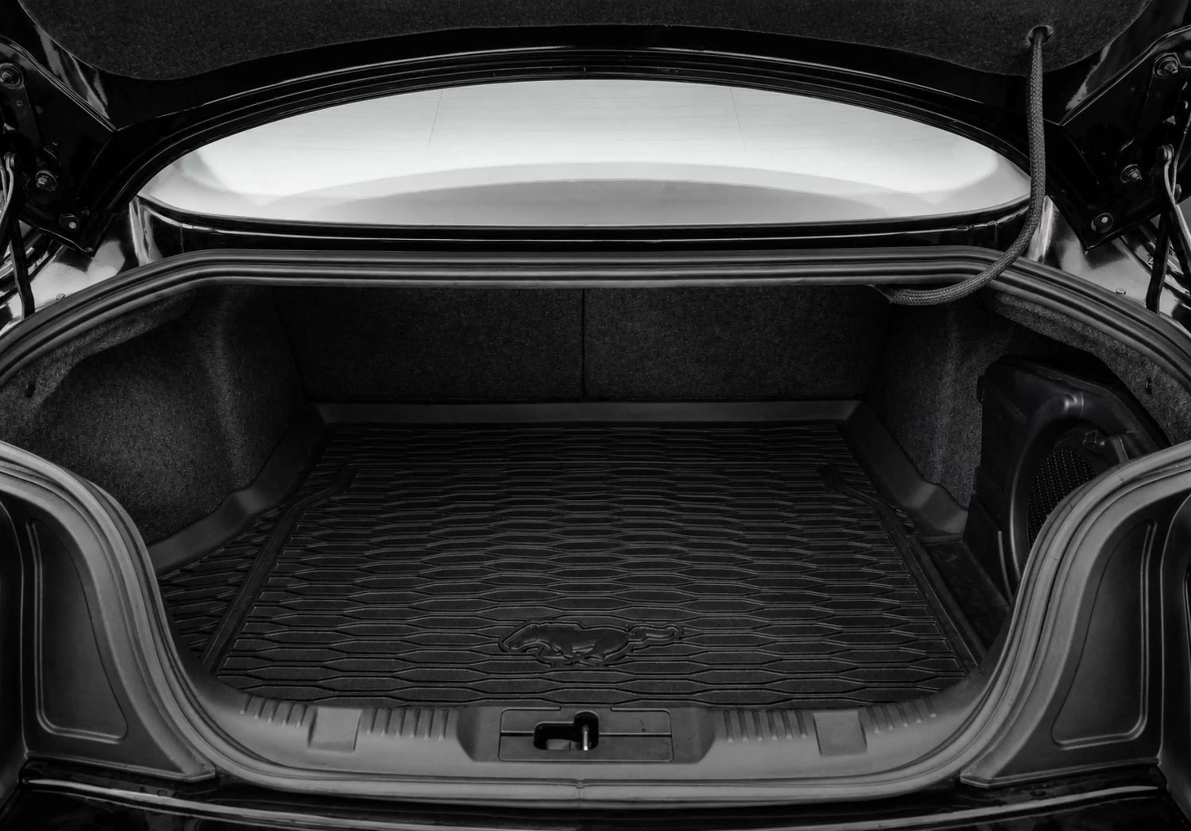 Ford Mustang Fastback 2.3 EcoBoost CruiseControl|Camera|Keyless — photo 13