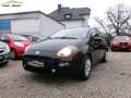 Fiat Punto Punto 1,2 69 Pop Schwarz - thumbnail 1