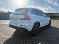 Volvo XC60 XC60 T8 Twin Engine AWD Geartronic Momentum Blanc - thumbnail 5