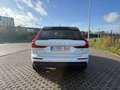 Volvo XC60 XC60 T8 Twin Engine AWD Geartronic Momentum Blanc - thumbnail 6