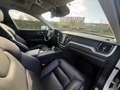 Volvo XC60 XC60 T8 Twin Engine AWD Geartronic Momentum Blanc - thumbnail 10