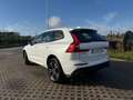 Volvo XC60 XC60 T8 Twin Engine AWD Geartronic Momentum Blanc - thumbnail 7