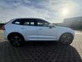 Volvo XC60 XC60 T8 Twin Engine AWD Geartronic Momentum Blanc - thumbnail 4