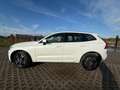 Volvo XC60 XC60 T8 Twin Engine AWD Geartronic Momentum Blanc - thumbnail 8