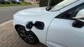 Volvo XC60 XC60 T8 Twin Engine AWD Geartronic Momentum Blanc - thumbnail 19