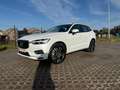 Volvo XC60 XC60 T8 Twin Engine AWD Geartronic Momentum Blanc - thumbnail 1