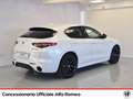 Alfa Romeo Stelvio 2.2 t veloce ti q4 210cv auto Weiß - thumbnail 6