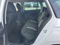 Skoda Kamiq 1.5 TSI Balance *AHK *5 J Garantie Navi Weiß - thumbnail 8