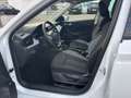 Skoda Kamiq 1.5 TSI Balance *AHK *5 J Garantie Navi Weiß - thumbnail 7