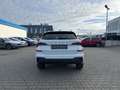 Skoda Kamiq 1.5 TSI Balance *AHK *5 J Garantie Navi Weiß - thumbnail 4
