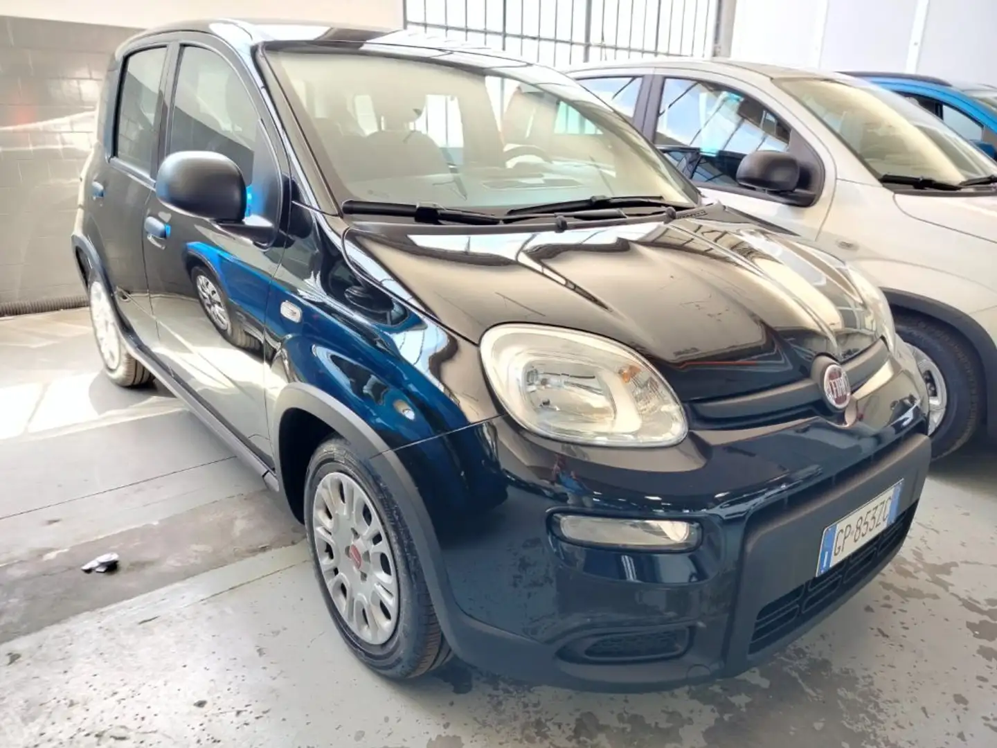 Fiat Panda 1.0 FireFly S&S Hybrid Nero - 1