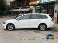 Volkswagen Golf Variant 1.5 tgi Executive 130cv Bianco - thumbnail 4