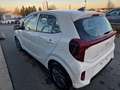 Kia Picanto 1,0 GDI Vision Navi Kamera Sitzhzg Klima Alu Weiß - thumbnail 6