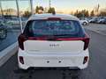 Kia Picanto 1,0 GDI Vision Navi Kamera Sitzhzg Klima Alu Weiß - thumbnail 5