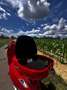 Vespa Primavera 125 RED Sonderedition Rot - thumbnail 7