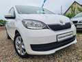 Skoda Citigo CLEVER Green tec *T-LEDER/KLIMA/SHZ/PDC/LMF/LED- Weiß - thumbnail 16