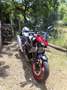 Kawasaki Z 500 SE Czerwony - thumbnail 1