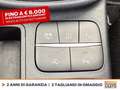 Ford Fiesta active 1.0 ecoboost h 125cv Grigio - thumbnail 27