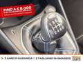 Ford Fiesta active 1.0 ecoboost h 125cv Grigio - thumbnail 26