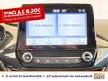Ford Fiesta active 1.0 ecoboost h 125cv Grigio - thumbnail 24