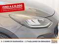 Ford Fiesta active 1.0 ecoboost h 125cv Grigio - thumbnail 14