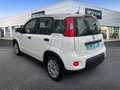 Fiat Panda Hybrid 1.0 51kw+Pack Comfort Plus - Blanco - thumbnail 6