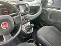 Fiat Panda Hybrid 1.0 51kw+Pack Comfort Plus - Blanco - thumbnail 17