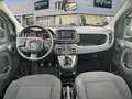 Fiat Panda Hybrid 1.0 51kw+Pack Comfort Plus - Blanco - thumbnail 8