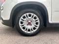 Fiat Panda Hybrid 1.0 51kw+Pack Comfort Plus - Blanco - thumbnail 11