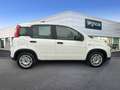 Fiat Panda Hybrid 1.0 51kw+Pack Comfort Plus - Blanco - thumbnail 4