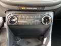Ford Fiesta 1.0 EcoBoost Hybrid S&S TITANIUM X WinterPaket Schwarz - thumbnail 11
