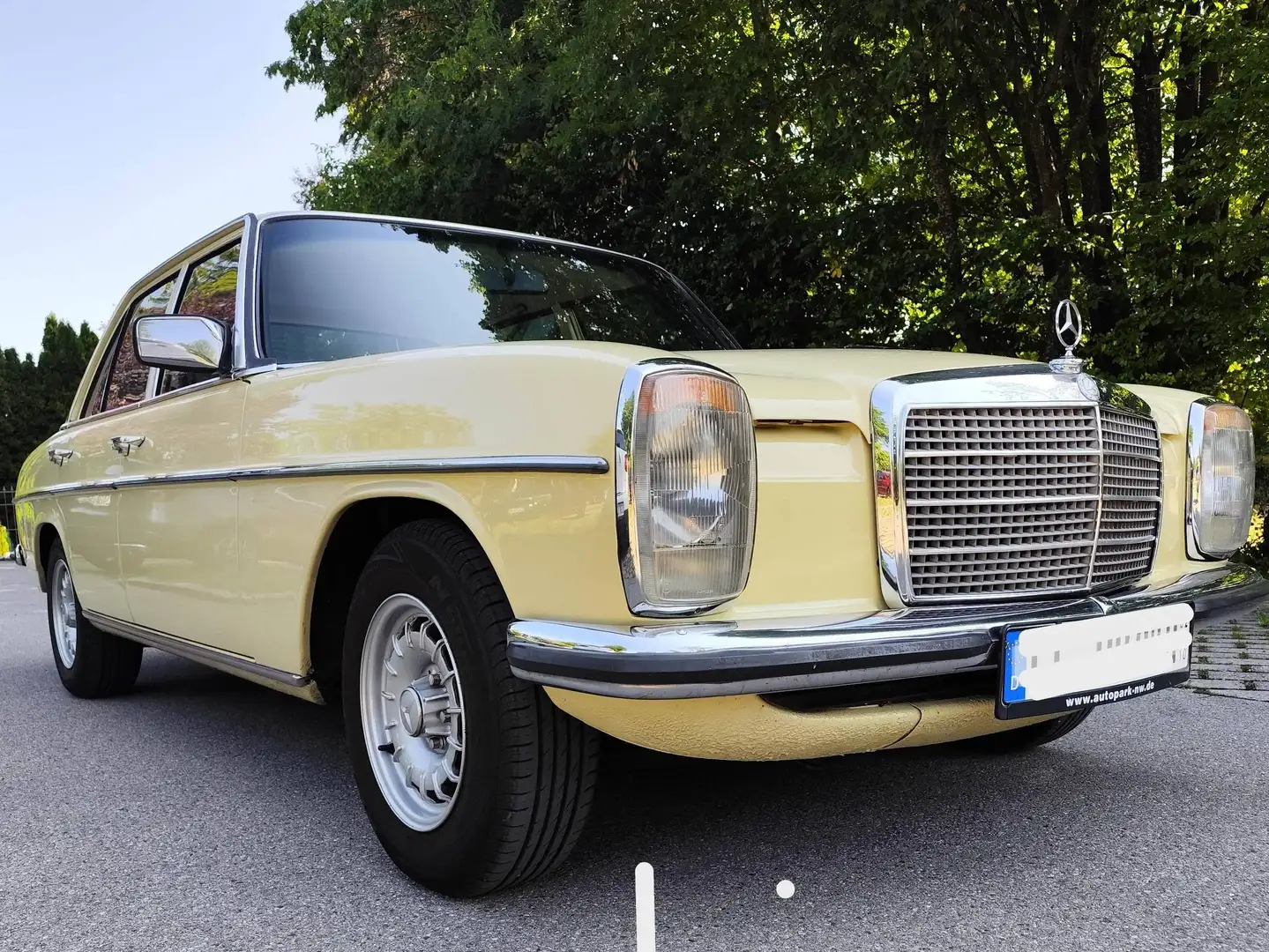 Mercedes-Benz W 114/115 Strich-Acht Gelb - 2