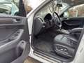 Audi Q5 2.0 TDI quattro *Pano *BiXenon *Leder *Memory Blanco - thumbnail 11
