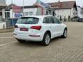 Audi Q5 2.0 TDI quattro *Pano *BiXenon *Leder *Memory Blanco - thumbnail 5